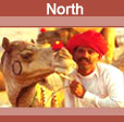 North India Tours Package